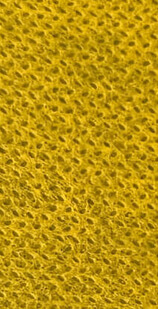 زرد-تخم-مرغی